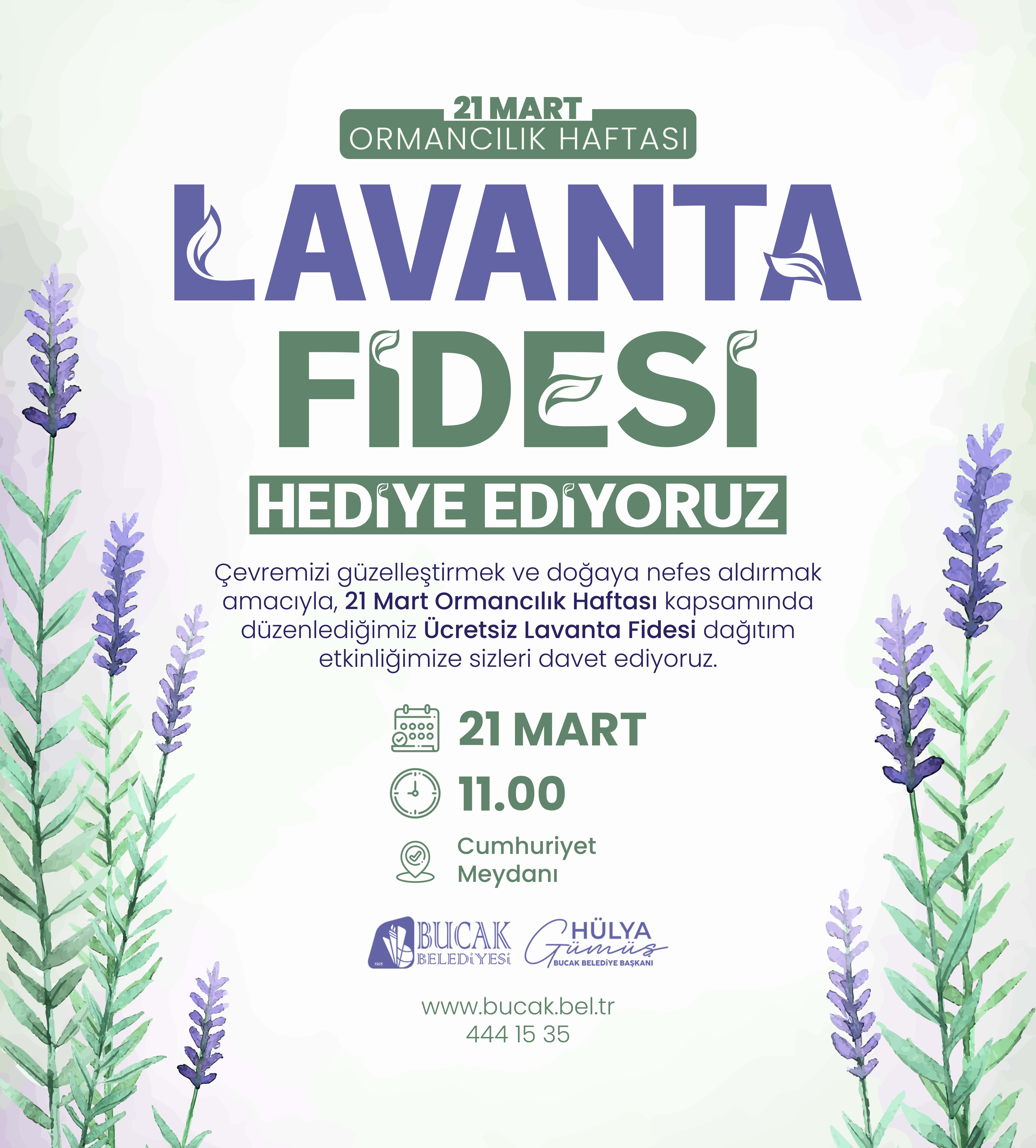 LAVANTA FİDESİ HEDİYE EDİYORUZ