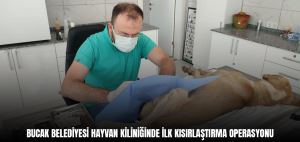 BUCAK BELEDİYESİ HAYVAN KİLİNİĞİNDE İLK KISIRLAŞTIRMA OPERASYONU